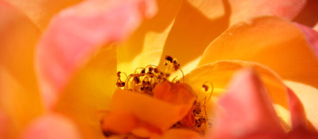 There is no such thing as rainy day